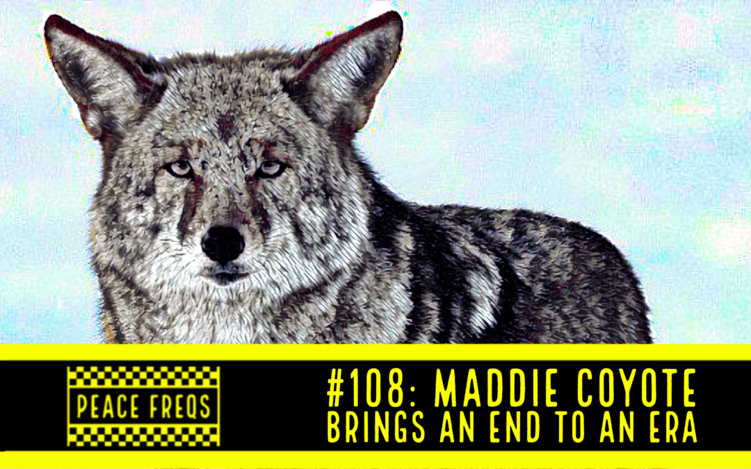 Peace Freqs: Episode 108: Maddie Coyote Brings An End To An Era
