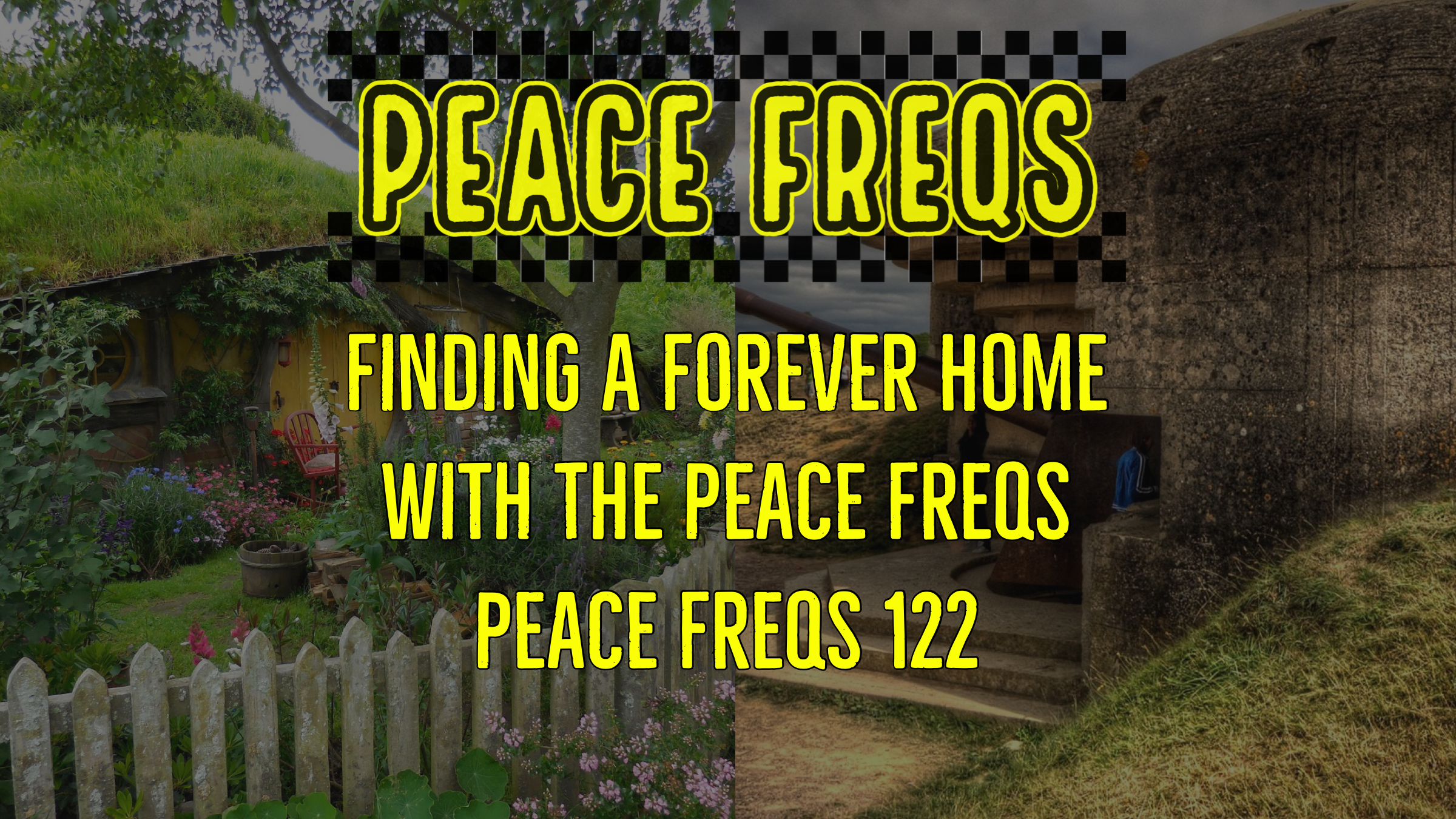 Finding A Forever Home With The Peace Freqs - Peace Freqs 122 Title Card